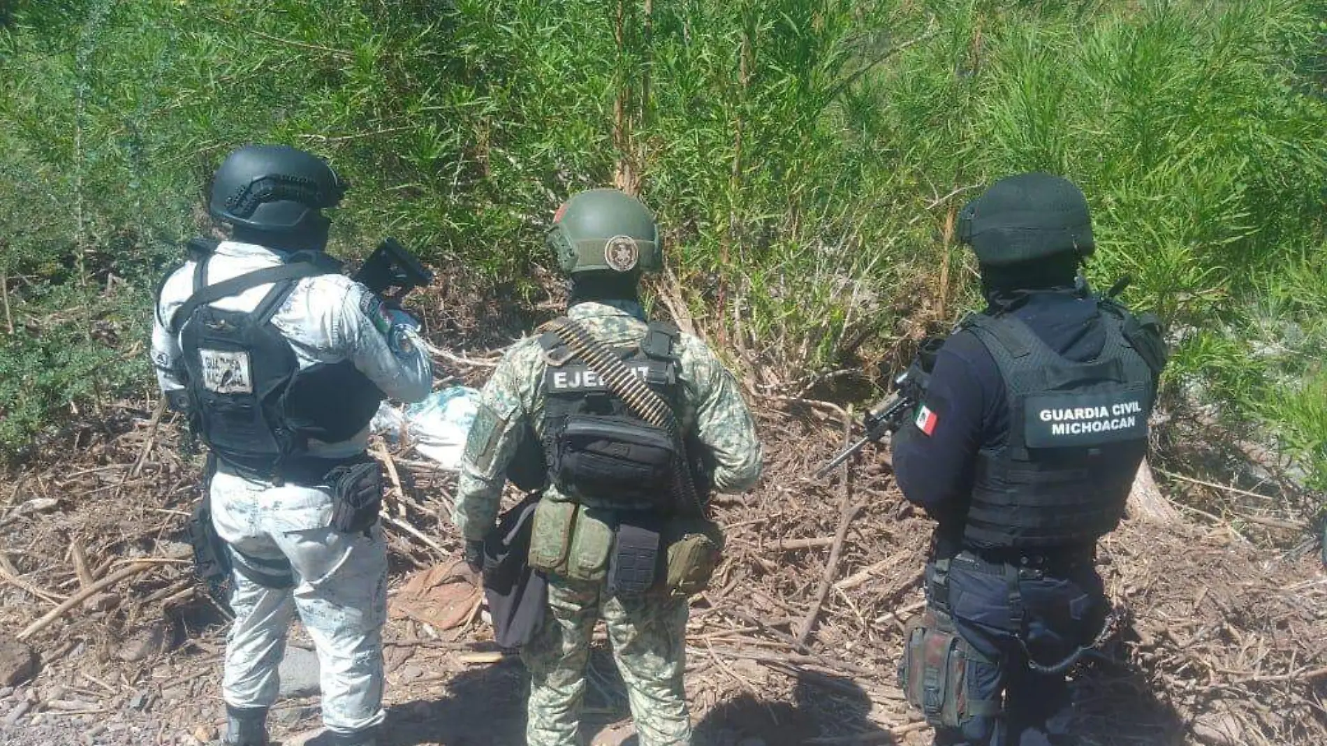 SSP encuentra armas en costales en Churumuco